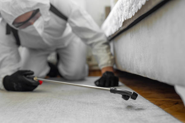 Professional Cockroach Control technician working in Batesville, TX